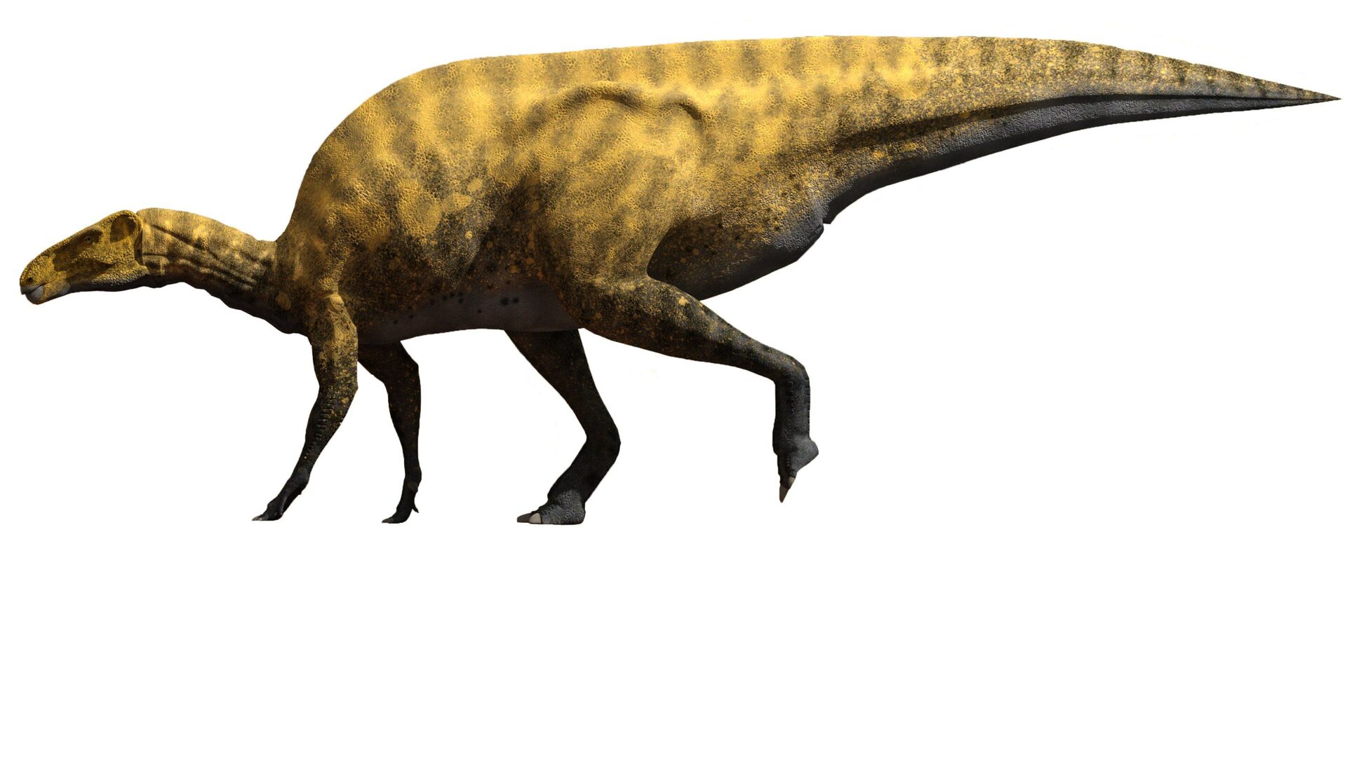 Descoberto novo dinossauro de 130 milhões de anos do tamanho de ônibus escolar na Espanha (FOTO) - Sputnik Brasil, 1920, 08.07.2021