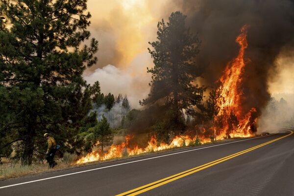 Bombeiro queima vegetação para evitar propagação do incêndio à Floresta Nacional de Plumas, Califórnia, EUA, 9 de julho de 2021 - Sputnik Brasil