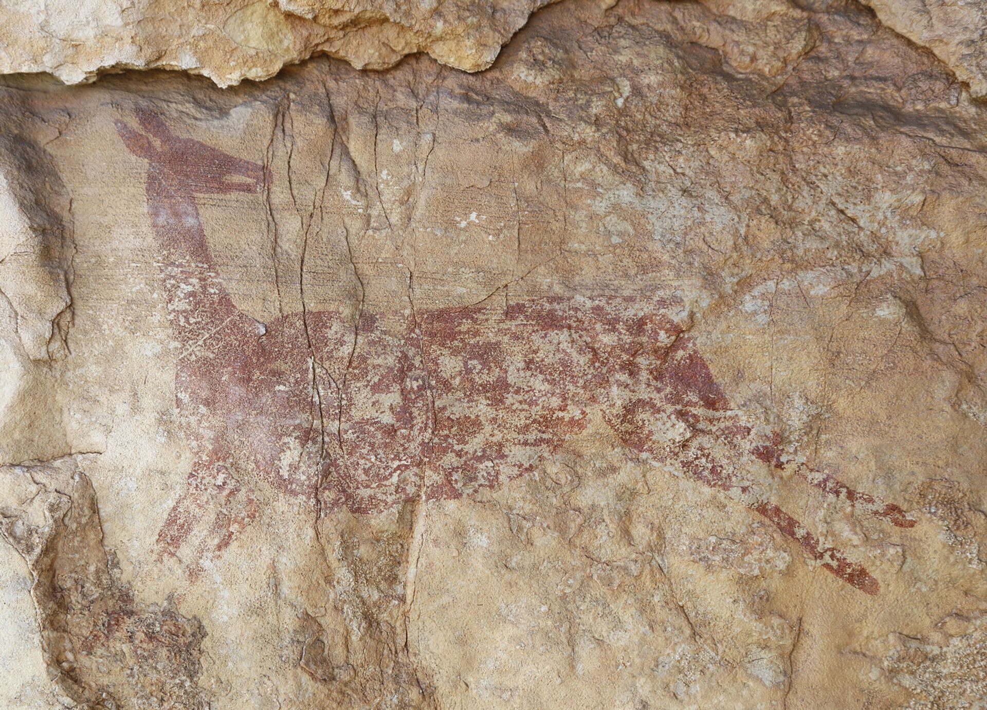 Arte rupestre de 7.500 anos encontrada na Espanha mostra homem coletando mel (FOTOS) - Sputnik Brasil, 1920, 20.07.2021