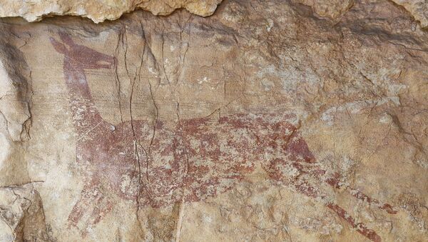Pintura rupestre representando uma corça, descoberta por arqueólogos em caverna da Espanha  - Sputnik Brasil