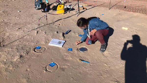 Escavação peleontológica na Argentina - Sputnik Brasil
