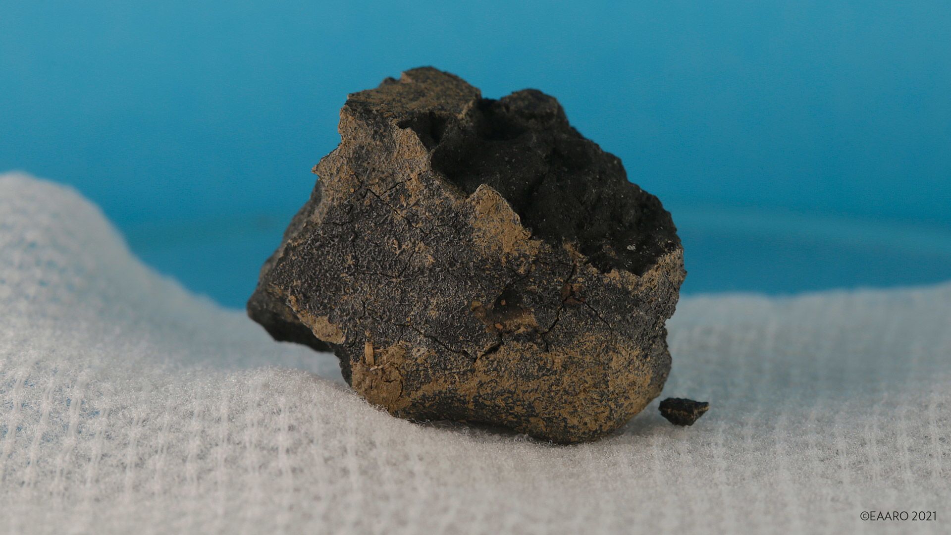 Fragmento de meteorito bilenar encontrado em pegada de cavalo no Reino Unido - Sputnik Brasil, 1920, 12.01.2023