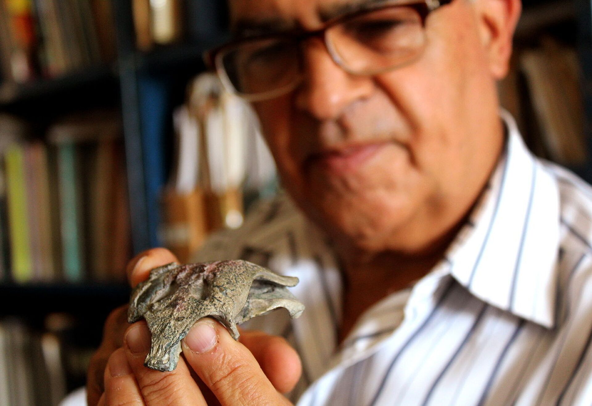 Fóssil de 150 milhões de anos descoberto no Chile pertence a 'avô' dos crocodilos modernos (FOTOS) - Sputnik Brasil, 1920, 25.07.2021