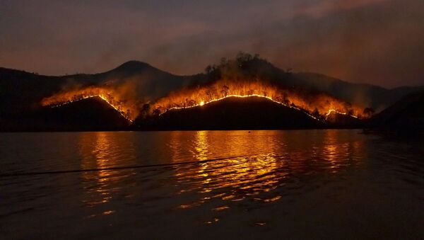 Incêndio em ilha - Sputnik Brasil
