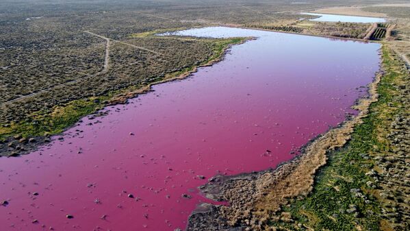 Laguna que virou rosada devido aos produtos químicos usados para conservar camarões nas fábricas de pesca perto de Trelew, Patagônia, Argentina, 23 de julho de 2021 - Sputnik Brasil