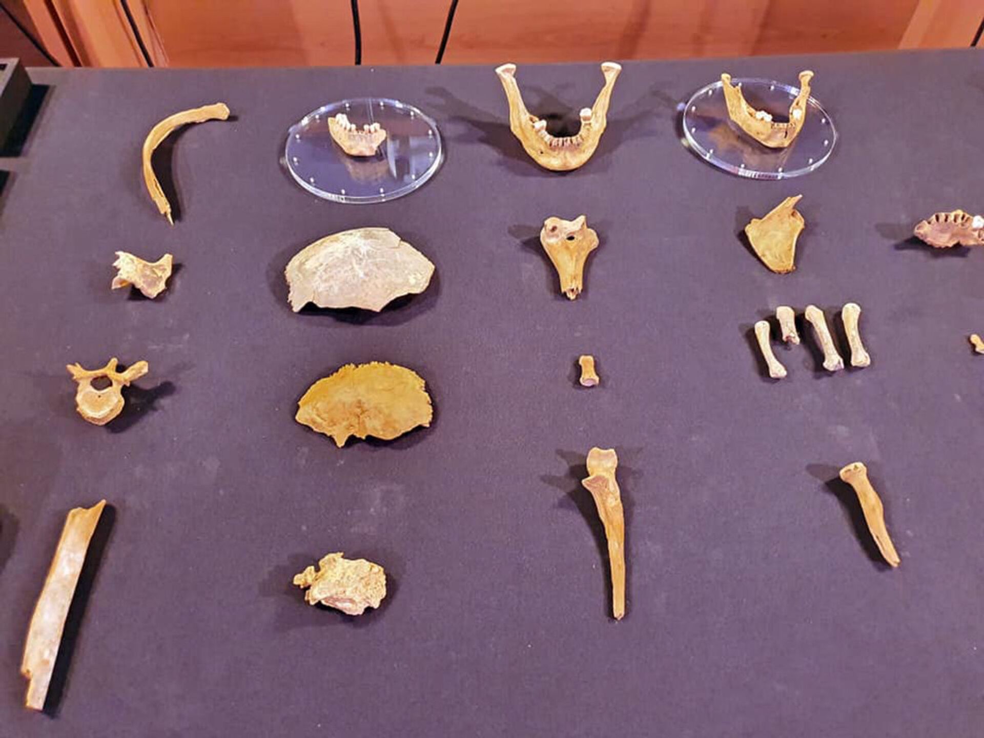 FOTOS de sepultura na Espanha revelariam restos humanos e ferramentas de 3.000 anos - Sputnik Brasil, 1920, 10.08.2021