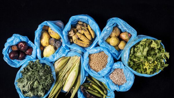 Desperdício de alimentos. Frutas, hortaliças, grãos e legumes. Foto de arquivo - Sputnik Brasil