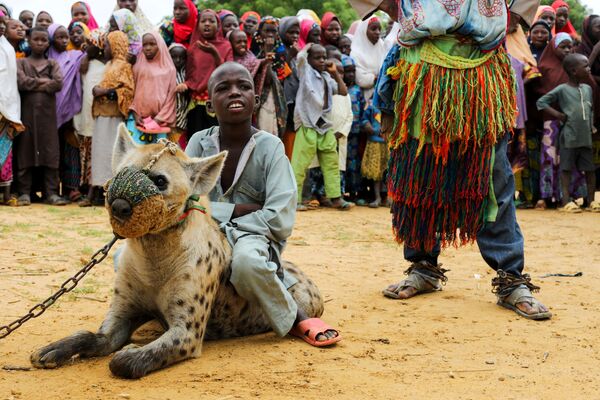 Menino sentado em hiena em uma atuação de circo na Nigéria, 27 de julho de 2021 - Sputnik Brasil
