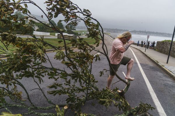 Árvore caída após tempestade tropical Henri, em Newport, Rhode Island, Estados Unidos, 22 de agosto de 2021 - Sputnik Brasil