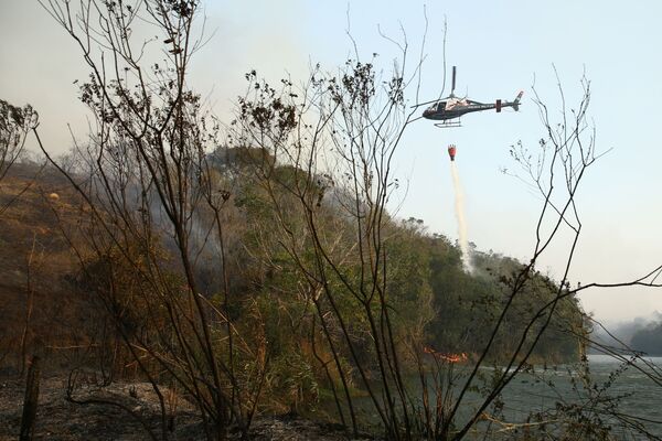 Helicóptero combate incêndio no Parque Estadual do Juquery, em Franco da Rocha, na Grande São Paulo, Brasil, 23 de agosto de 2021 - Sputnik Brasil