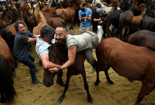 Homens lutam com cavalos selvagens durante evento tradicional Rapa das Bestas na cidade de Sabucedo, Galícia, Espanha. - Sputnik Brasil