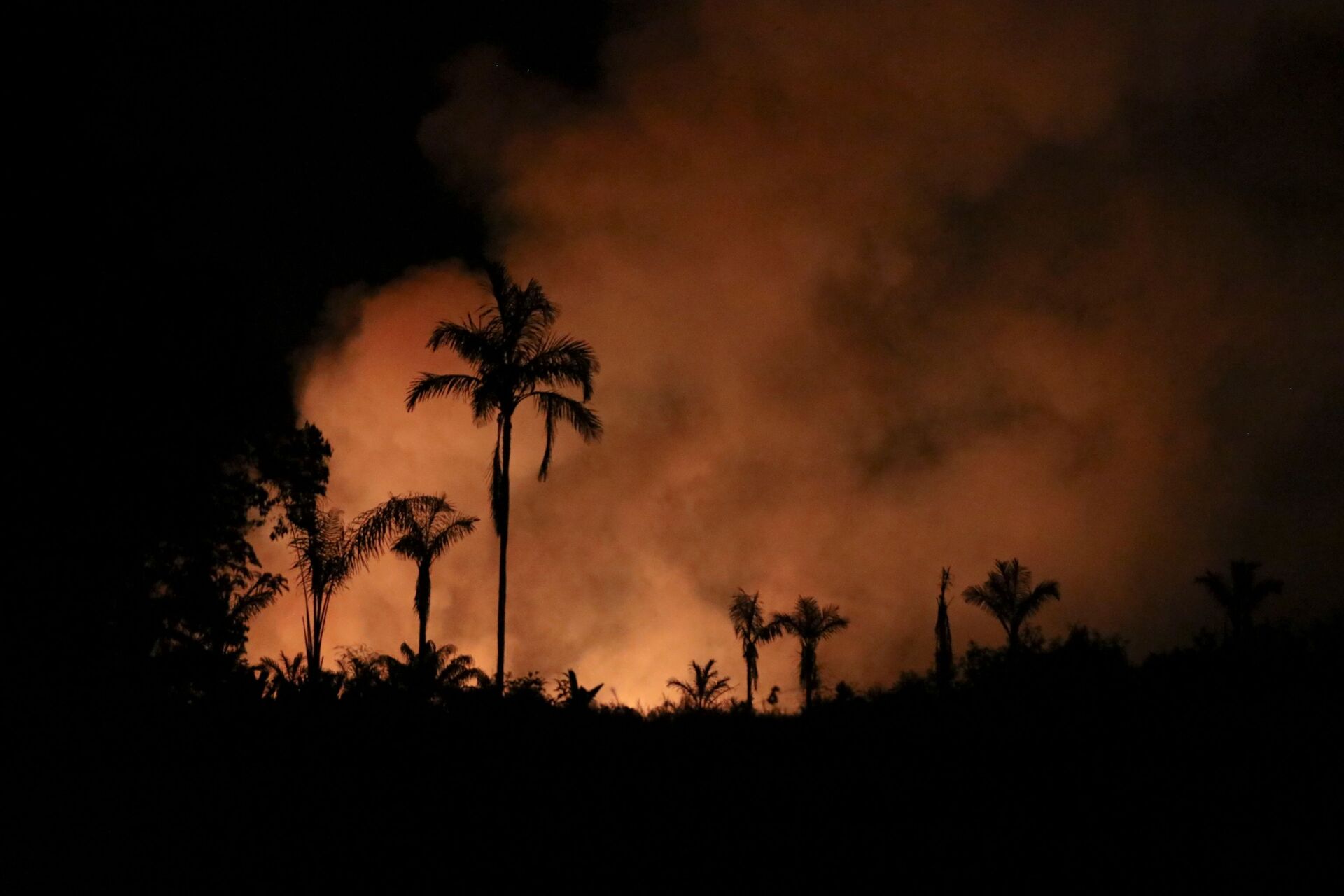 Incêndios florestais tomam conta da Amazônia neste mês, 3 de setembro de 2021  - Sputnik Brasil, 1920, 09.11.2021