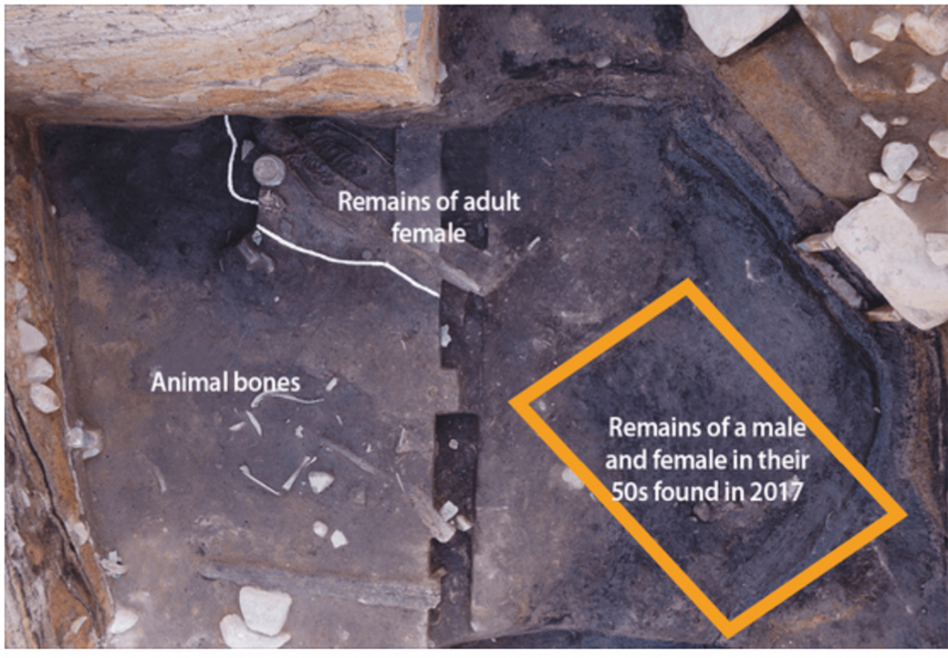 Restos ósseos de uma mulher foram encontrados a apenas 50 centímetros sobre os restos encontrados em 2017 - Sputnik Brasil, 1920, 09.11.2021