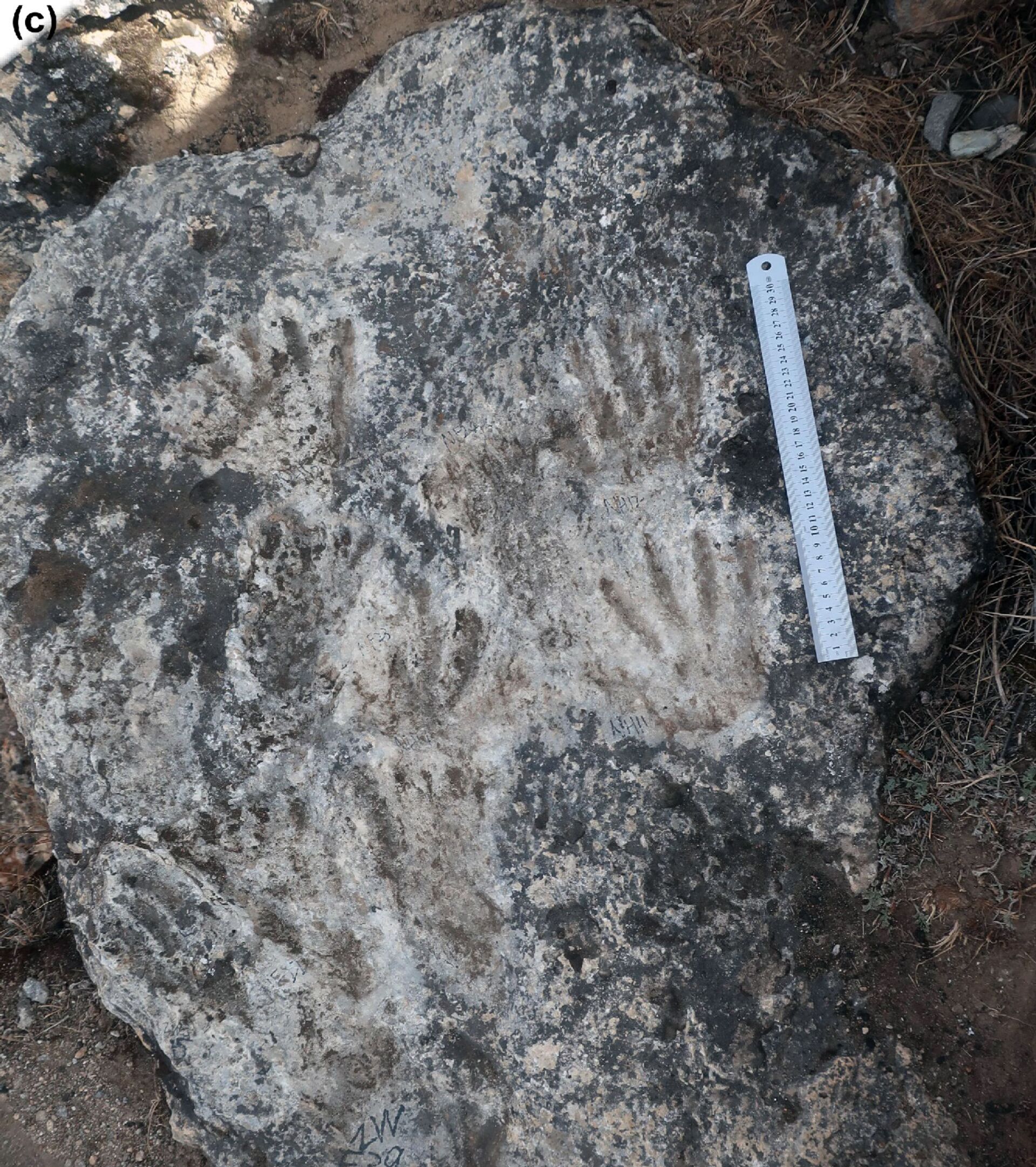 Impressões de mãos e pés de crianças do Paleolítico descobertas no Tibete - Sputnik Brasil, 1920, 09.11.2021