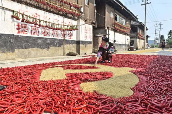Jovem desenha bandeira do Partido Comunista Chinês (PCC) com milho e pimentão vermelho na província de Guizhou, na China, em 12 de setembro de 2021. - Sputnik Brasil