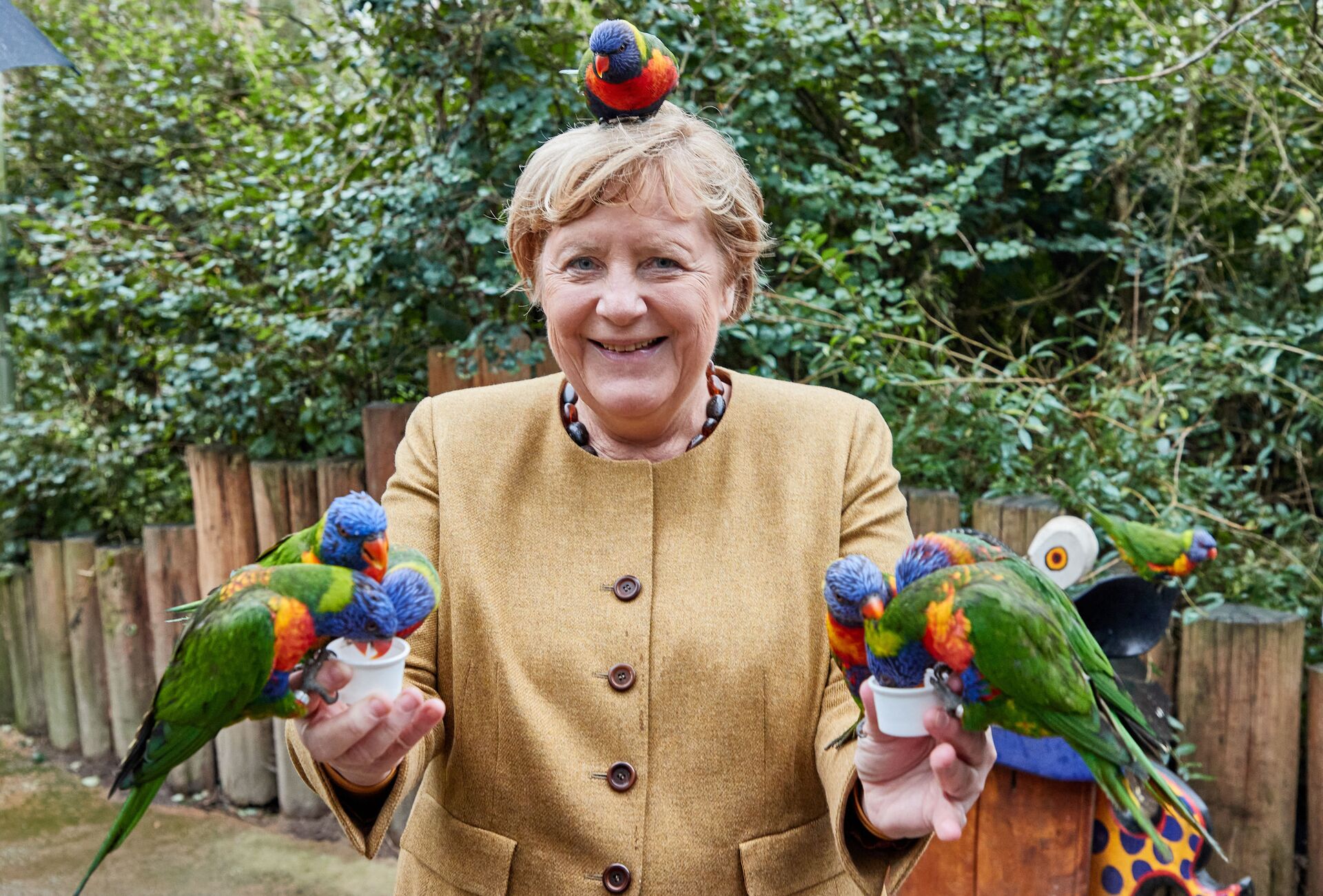 Chanceler alemã Angela Merkel alimentando pássaros no Parque de Aves em Marlow, no norte da Alemanha, em 23 de setembro de 2021 - Sputnik Brasil, 1920, 26.01.2022