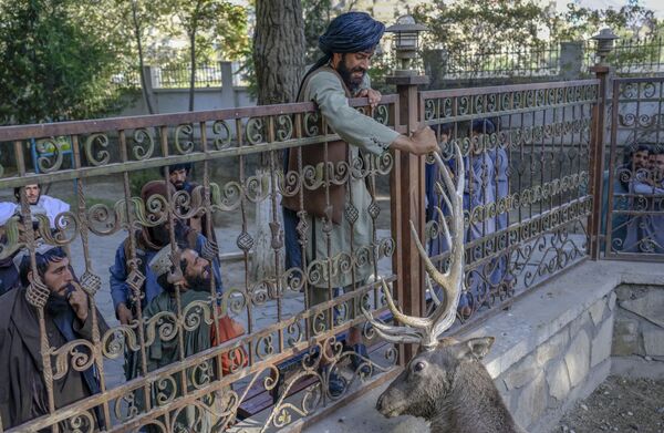Militante talibã toca em haste de veado no zoológico de Cabul, no Afeganistão, em 17 de setembro de 2021. - Sputnik Brasil