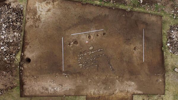 Um geoglifo em forma de touro foi descoberto em um sítio arqueológico localizado no sul da Sibéria - Sputnik Brasil