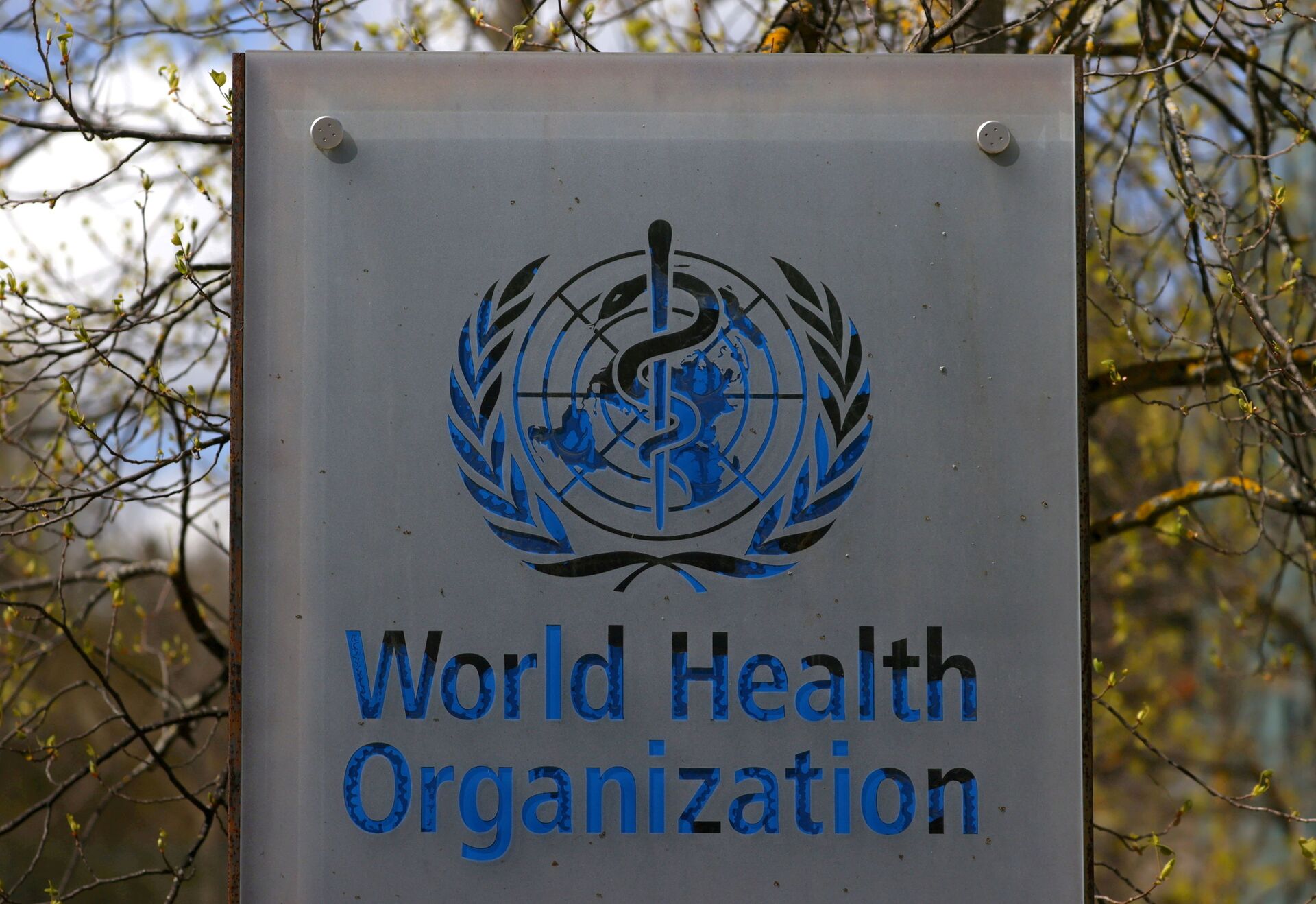 Logotipo da Organização Mundial da Saúde (OMS) fora de prédio da instituição em Genebra, Suíça, 6 de abril de 2021 - Sputnik Brasil, 1920, 09.11.2021