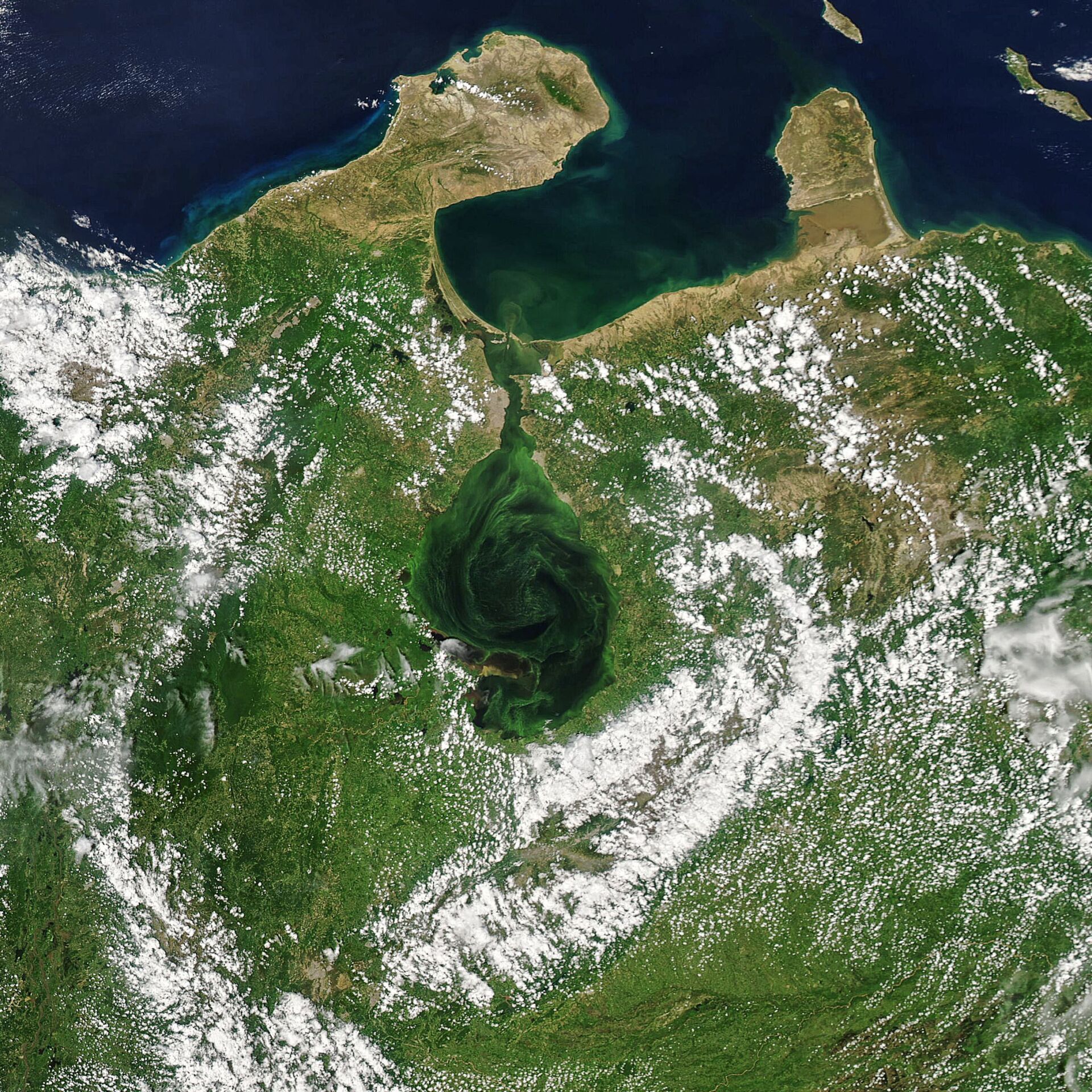 Cor verde reflete presença de algas no lado de Maracaibo, Venezuela - Sputnik Brasil, 1920, 09.11.2021