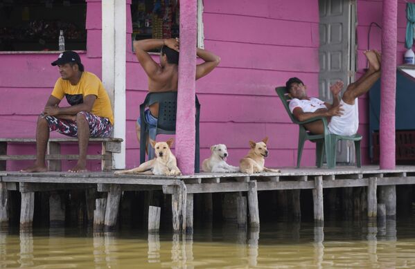 Cachorros e seus donos descansam em varanda de casa em Ciénaga Grande de Santa Marta, Nueva Venecia, Colômbia. - Sputnik Brasil