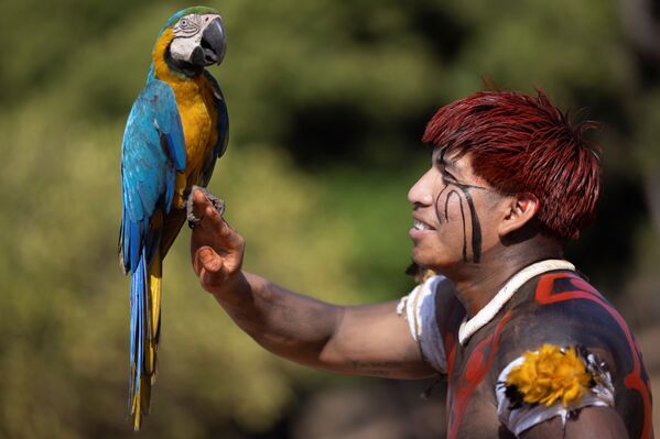 Homem com o papagaio Ara no ritual fúnebre Kuarup no Brasil. - Sputnik Brasil