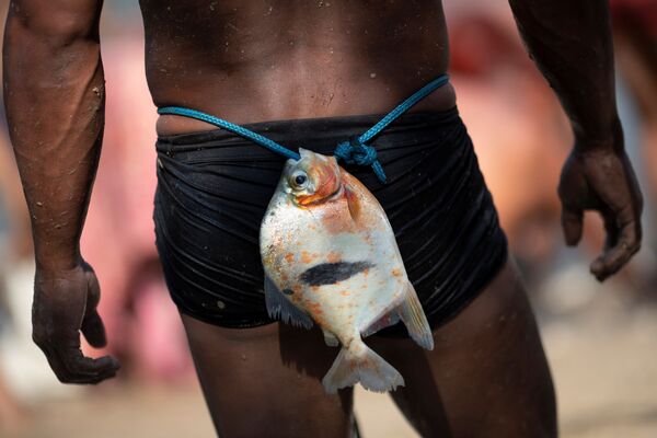 Homem yawalapiti com peixe preso na sua cintura no rio Tuatuari. - Sputnik Brasil