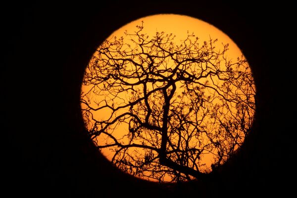 Sol nasce no Parque Indígena do Xingu. - Sputnik Brasil