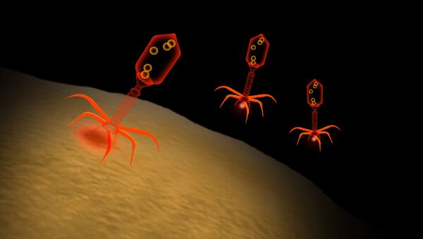 Bacteriófagos (imagem ilustrativa) - Sputnik Brasil