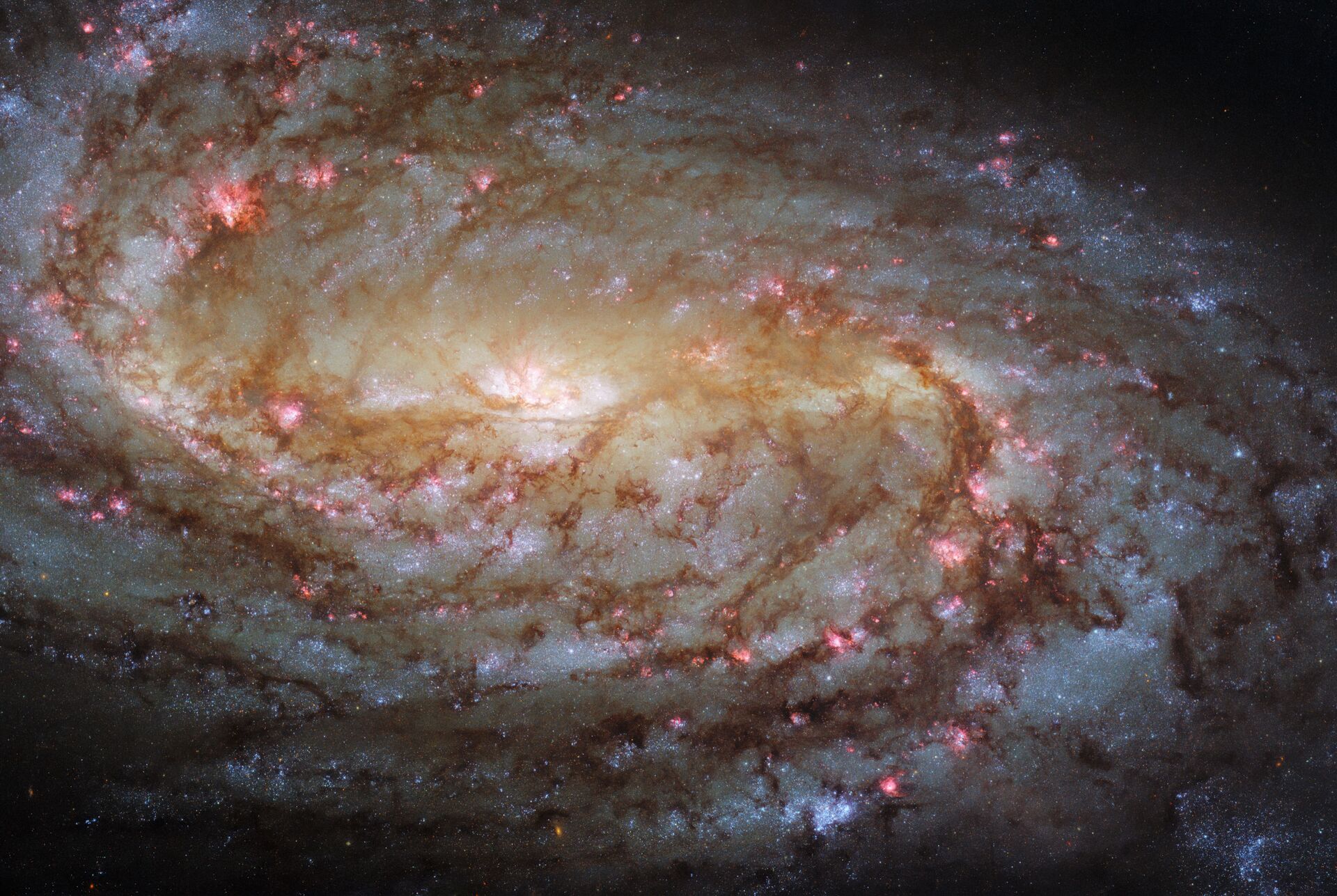 Galáxia espiral NGC 2903 - Sputnik Brasil, 1920, 09.11.2021
