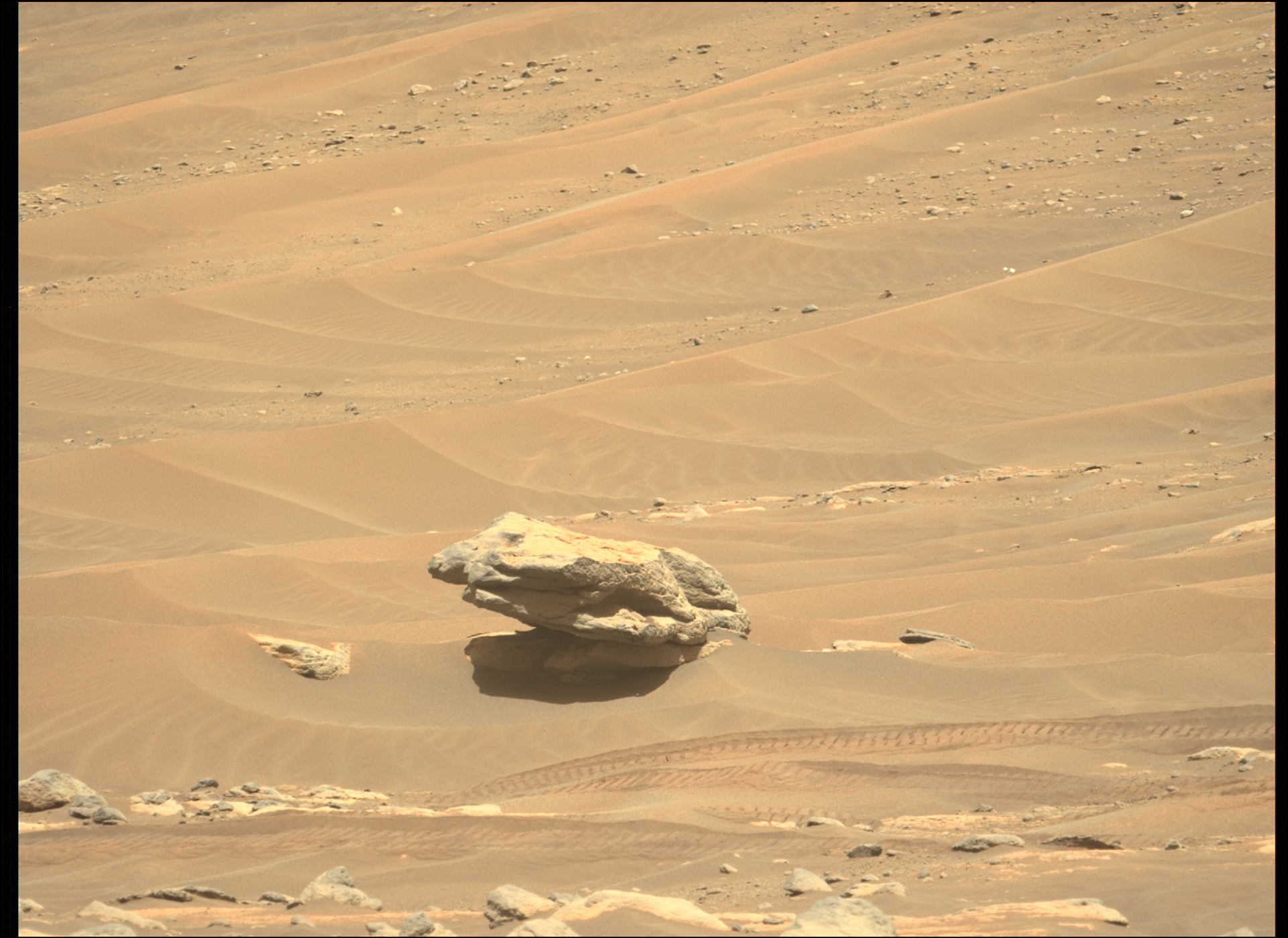 Rocha solitária entre as dunas capturada pelo rover Perseverance. Foto foi escolhida como imagem da semana no site da NASA - Sputnik Brasil, 1920, 09.11.2021