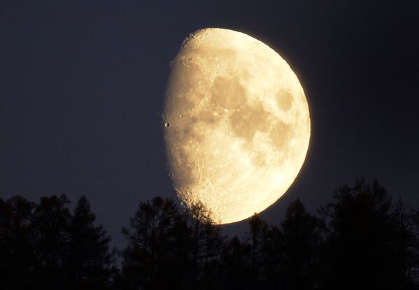 Lua sobre a taiga na república siberiana de Khakássia, Rússia. - Sputnik Brasil