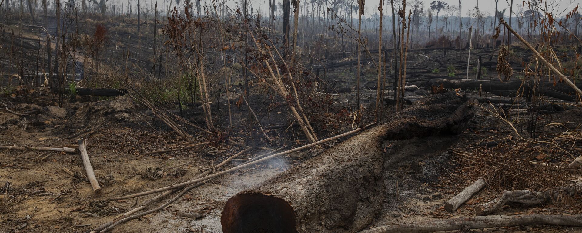 Desmatamento recente no município de Apuí, no sul do Amazonas, 27 de outubro de 2021 - Sputnik Brasil, 1920, 20.12.2021