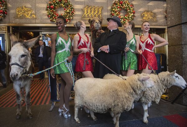 Cardeal de Nova York com camelo, ovelhas e burro na produção de um espetáculo de Natal, EUA, 2 de novembro de 2021.  - Sputnik Brasil