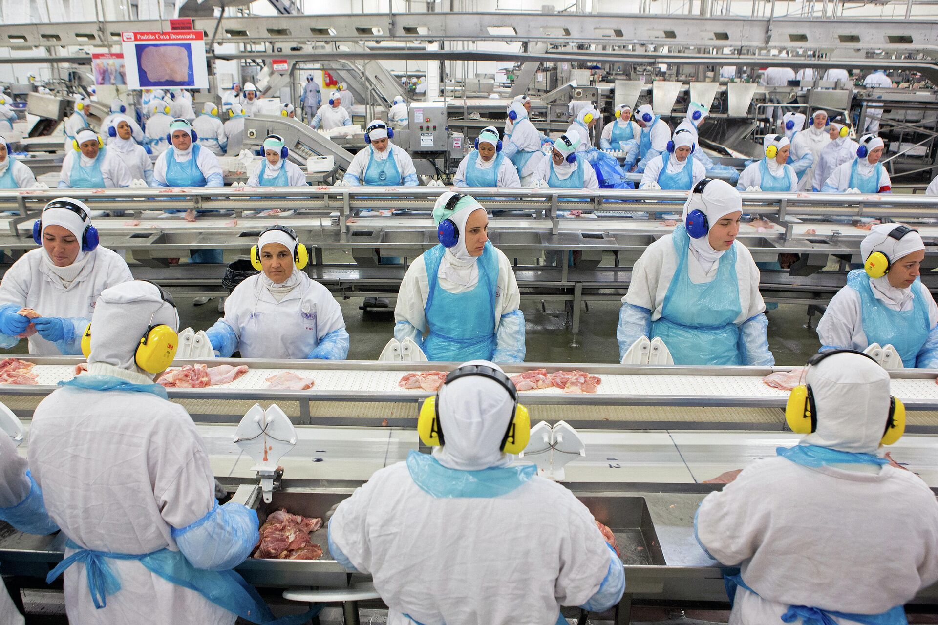 Funcionárias trabalham na linha de produção na fábrica de frango JBS-Friboi - Sputnik Brasil, 1920, 12.11.2021