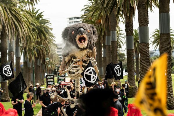 Blinky, um boneco de coala de quatro metros, em uma manifestação contra as alterações climáticas em Melbourne, na Austrália, em 6 de novembro de 2021. - Sputnik Brasil