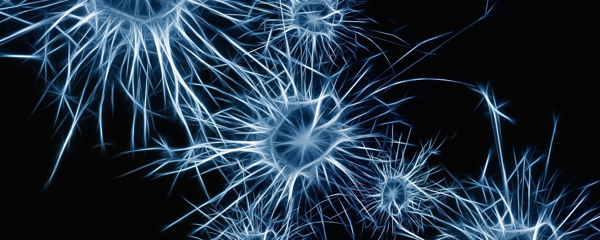 Neurônios do cérebro - Sputnik Brasil, 1920, 16.11.2021