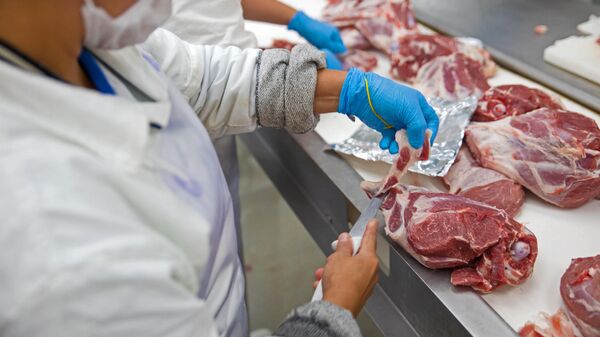 Funcionários trabalham no corte e processamento de carnes em frigorífico na cidade de Pirassununga (SP) - Sputnik Brasil