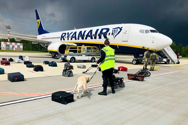 Cão farejador de Belarus verifica as bagagens de um Boeing 737-8AS da Ryanair, no Aeroporto Internacional de Minsk, quando o fundador do Nexta, canal do aplicativo de mensagens Telegram, Roman Protasevich, estava a bordo, 23 de maio de 2021. - Sputnik Brasil