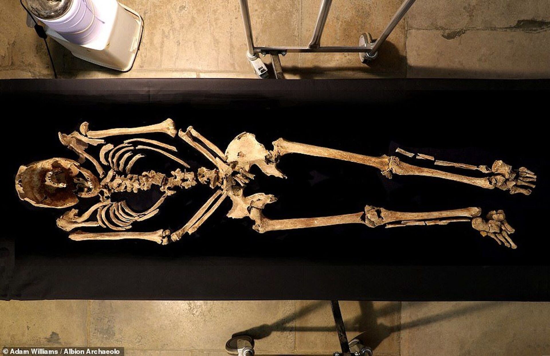Esqueleto de um escravo do período romano com um prego de ferro de 5 centímetros cravado no calcanhar  - Sputnik Brasil, 1920, 09.12.2021