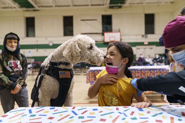 Menina e cachorro durante a vacinação em uma escola em Pawtucket, EUA. - Sputnik Brasil