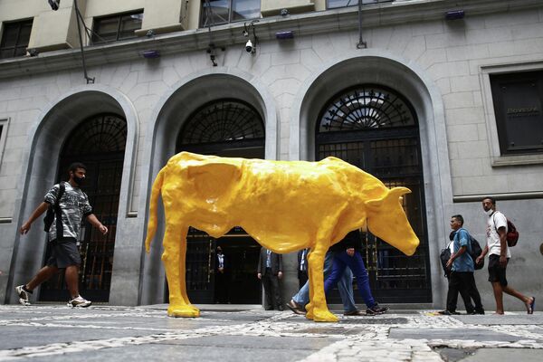Monumento Vaca Magra instalado em frente à Bolsa de SP simbolizando &quot;momento de crise e pobreza&quot; no Brasil, segundo a autora, Márcia Pinheiro. - Sputnik Brasil