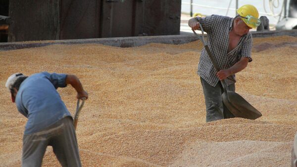 Trabalhadores portuários distribuem milho enquanto carregam em um navio de grãos no porto de Rosário, cerca de 300 quilômetros ao norte de Buenos Aires, Argentina. - Sputnik Brasil