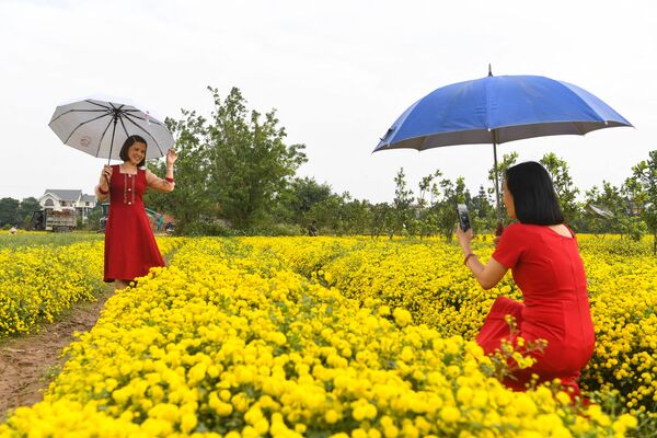 Vietnamitas posam para fotos em um campo de crisântemos na província de Hung Yen, 21 de dezembro de 2021. - Sputnik Brasil