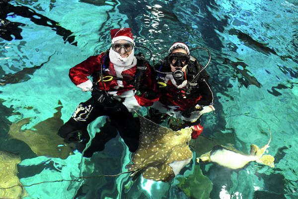 Mergulhadores fantasiados de Papai Noel nadam ao lado de peixes no AquaRio, 21 de dezembro de 2021 - Sputnik Brasil