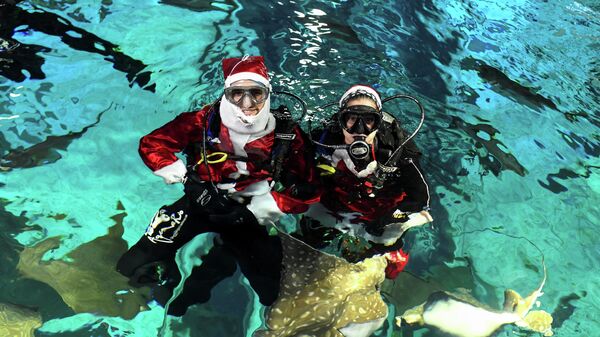 Mergulhadores fantasiados de Papai Noel nadam ao lado de peixes no AquaRio, 21 de dezembro de 2021 - Sputnik Brasil