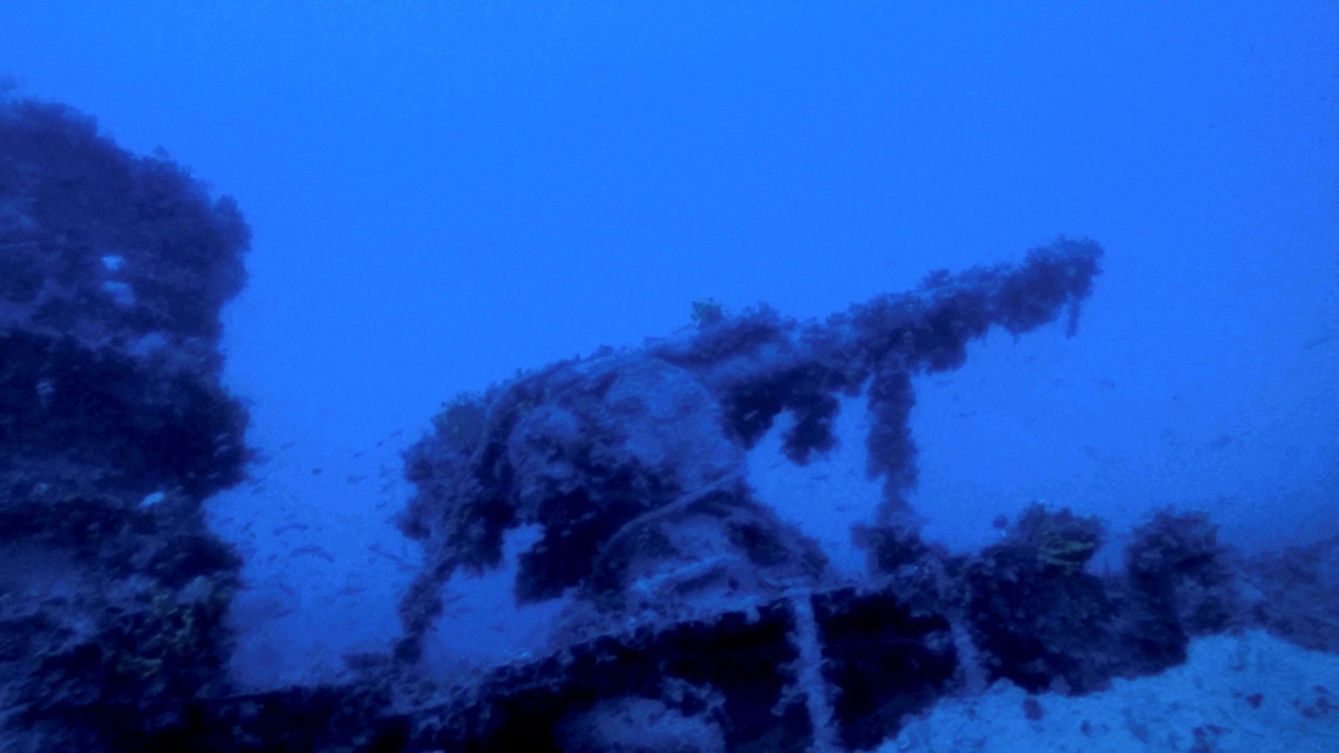 Canhão de convés do submarino italiano Jantina afundado na Segunda Guerra Mundial pelo submarino britânico HMS Torbay, ao sul da ilha grega de Mykonos, mar Egeu, Grécia, 3 de novembro de 2021 - Sputnik Brasil, 1920, 29.12.2021