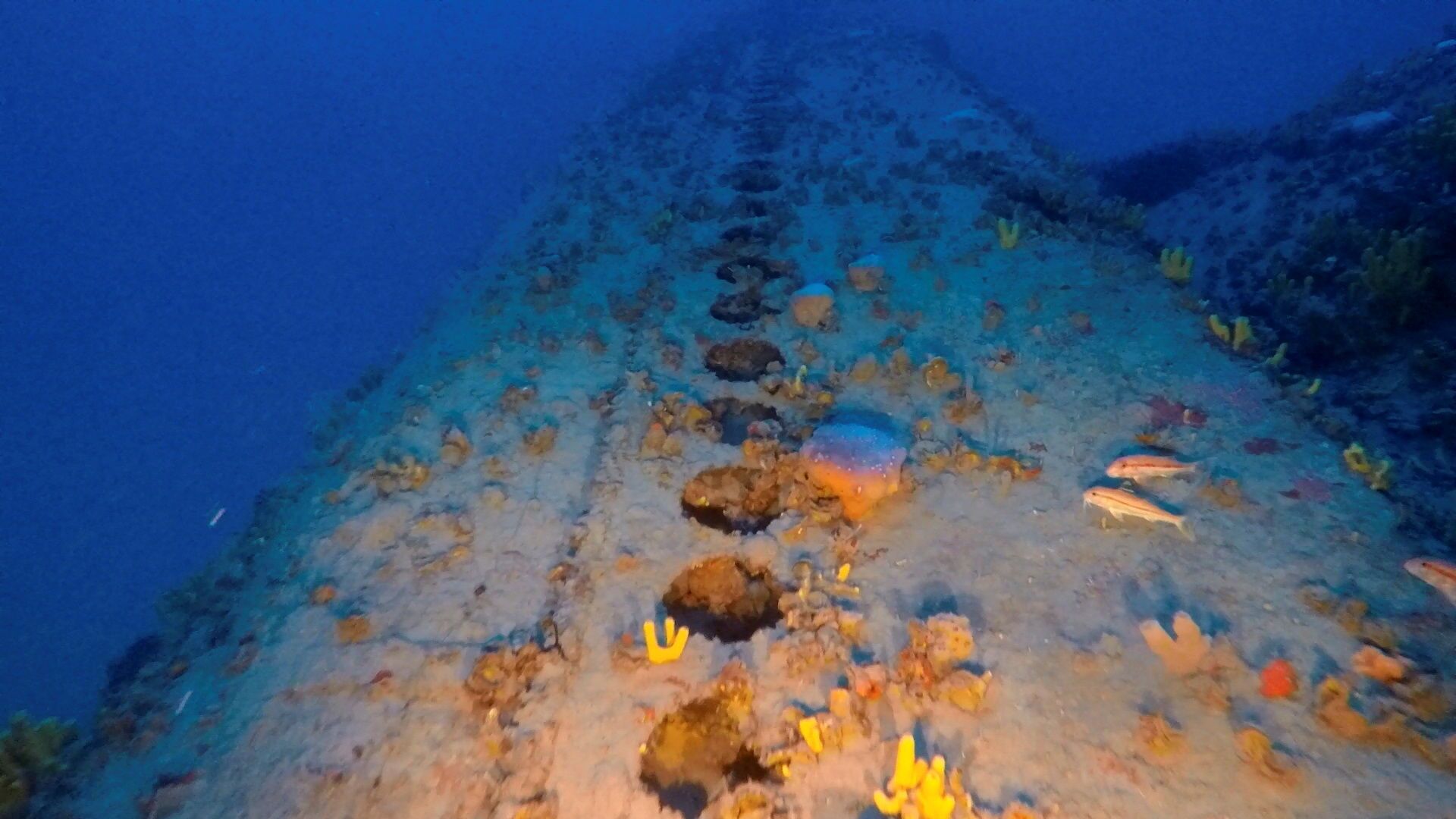 Naufrágio do submarino italiano Jantina afundado na Segunda Guerra Mundial pelo submarino britânico HMS Torbay, a sul da ilha grega de Mykonos, mar Egeu, Grécia, 3 de novembro de 2021 - Sputnik Brasil, 1920, 29.12.2021