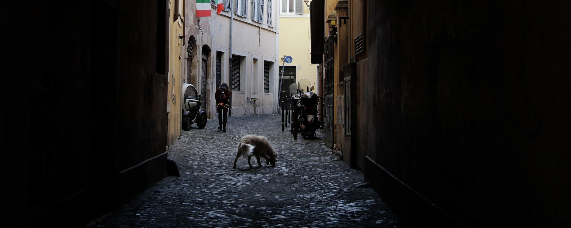 Mulher com cão em um bairro de Roma, Itália, 3 de novembro de 2020 - Sputnik Brasil, 1920, 22.09.2022