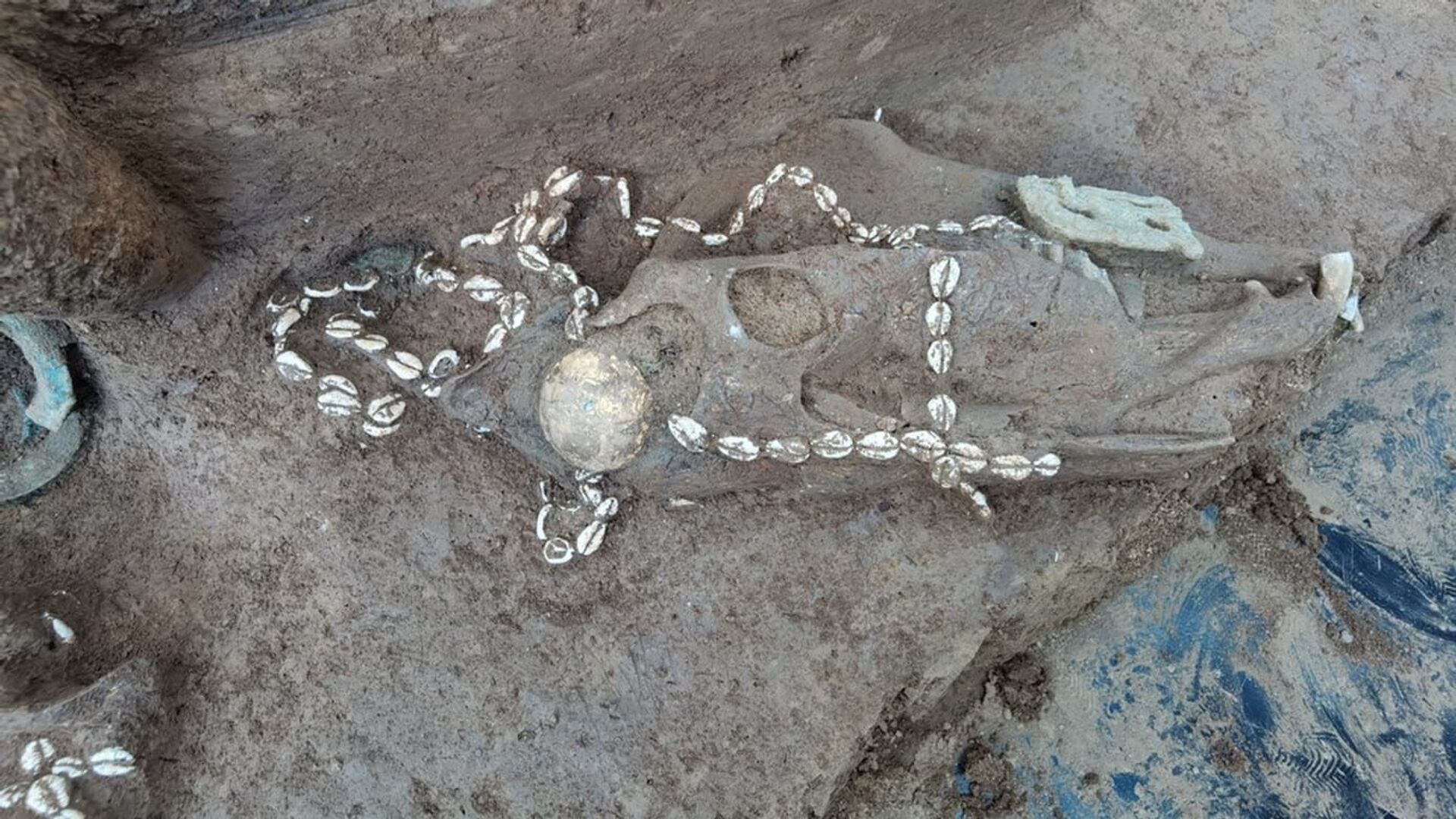 Cavalo com ornamentações foi encontrado em túmulo de suposto nobre no sítio arqueológico de Shaojiapeng, na China - Sputnik Brasil, 1920, 07.01.2022